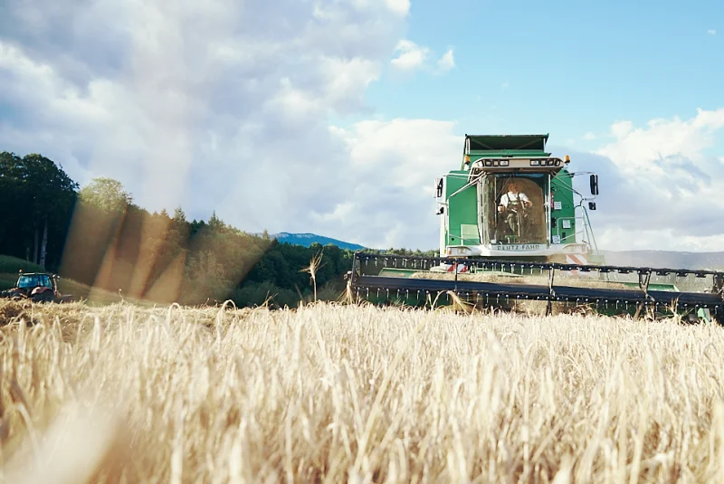 Kofmel Mühle Angebot für Landwirte und Getreideproduzenten Kofmel Mühle Angebot für Landwirte und Getreideproduzenten